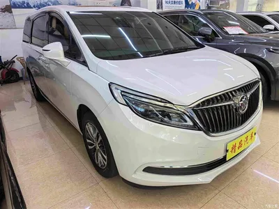 2017 Buick GL8 ES 28T Luxury China V, фото 3, лот 10251432