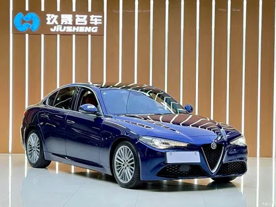 2017 Alfa Romeo Giulia 2.0T 200HP Luxury Edition, фото 2, лот 10239849