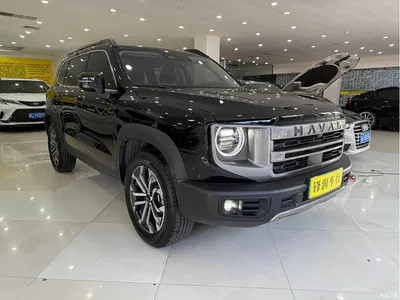 2024 Haval Big Dog 1.5T DCT Border Collie Edition, фото 3, лот 10361666