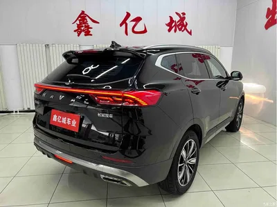 2023 Haval H6 National Trend Edition 1.5T Automatic Champion, фото 4, лот 11187097