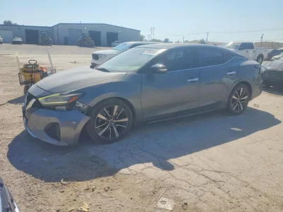 2019 NISSAN MAXIMA 3.5 SL, фото 1, лот 10755093