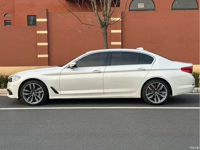 2018 BMW 5 Series 530Li Leading Luxury Package, фото 4, лот 10478750