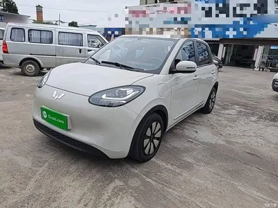 2023 Wuling Motors Wuling Bingo 333km Joyful Version, фото 1, лот 10368072