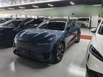 2021 Ford Mustang Mach-E Boundless RWD Luxury (Long Range), фото 1, лот 11567904