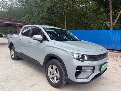 2025 Geely Radar Radar King Kong EM-P 4WD Long Bed Thousand-Mile King Kong, фото 3, лот 10428189