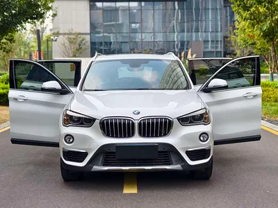 2019 BMW X1 xDrive20Li Premium Model, фото 3, лот 11184214