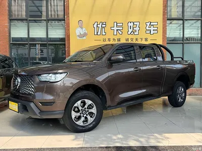 2021 Great Wall Pao 2.0T Commercial Edition Automatic Diesel 2WD Elite Long Box GW4D20M, фото 1, лот 10364246