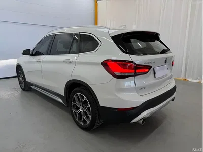 2020 BMW X1 sDrive20Li Premium Edition, фото 4, лот 10467145