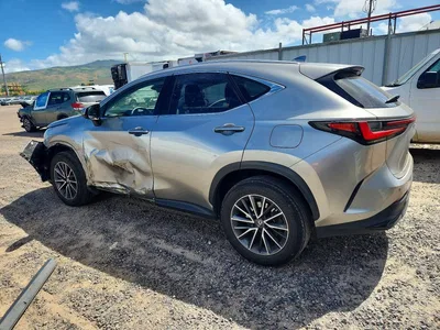 2023 LEXUS NX 250, фото 2, лот 10637869