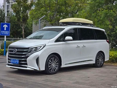 2021 GAC Trumpchi Trumpchi M8 Leading Show Series 390T Prestige Edition, фото 1, лот 10675964