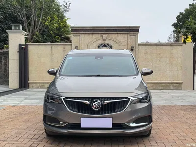 2019 Buick GL6 18T 6-seat Connected Luxury China VI, фото 2, лот 11225426