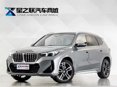 2023 BMW X1 sDrive25Li M Sport Package, фото 1, лот 10408081