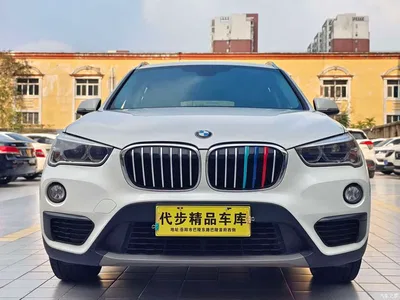 2018 BMW X1 sDrive20Li Leading Model, фото 2, лот 10464930