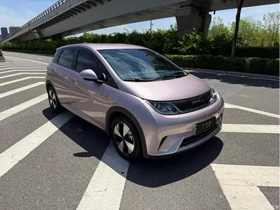 2023 Byd Dolphin, фото 3, лот 10246603