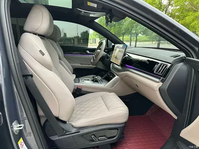 2024 Byd Tang, фото 4, лот 10244258