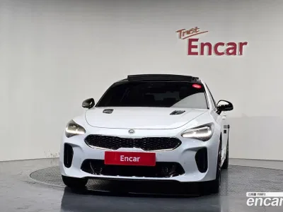 2019 Kia Stinger 2.0 Turbo AWD, фото 3, лот 10102752