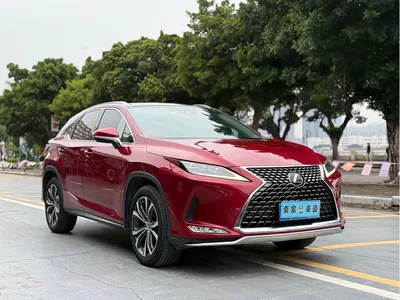 2020 Lexus RX 300 4WD Elegance Edition China VI, фото 3, лот 10314583