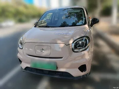 2021 Leapmotor T03 400 Micro Sugar Edition, фото 1, лот 10783374