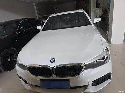 2019 BMW 5 Series 525Li M Sport Package, фото 3, лот 10689535