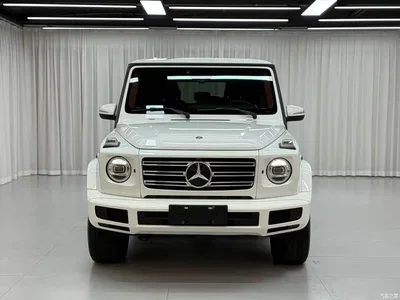 2019 Mercedes-Benz G-Class Facelift G 500, фото 1, лот 10280887