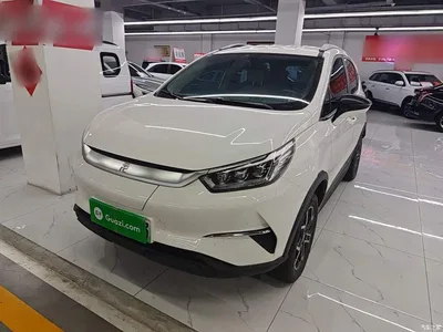 2021 BYD Yuan Pro Lifetime Love Edition, фото 2, лот 10362712
