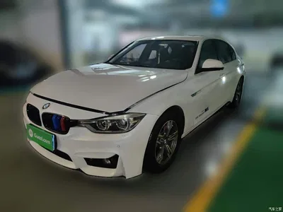 2016 BMW 3 Series 316Li Fashion, фото 2, лот 10457967