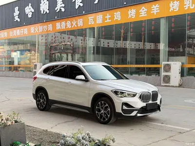 2020 BMW X1 sDrive20Li Premium Edition, фото 3, лот 10465152