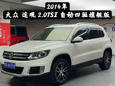 2013 Volkswagen Tiguan 2.0TSI Automatic AWD Flagship Edition, фото 1, лот 10258985