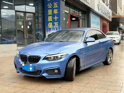 2018 BMW 2 Series (Import) 225i Convertible Coupe M Sport, фото 1, лот 10611274