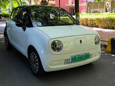 2019 Ora Black Cat Model 351km Smart Fun Edition, фото 2, лот 10330642