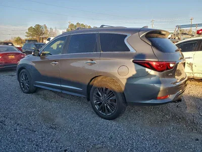 2019 INFINITI QX60 LUXE, фото 2, лот 10884616