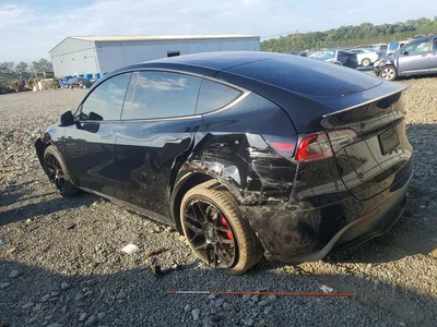 2021 TESLA MODEL Y, фото 2, лот 11208176