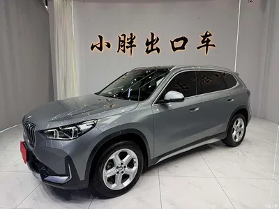 2023 BMW X1 sDrive20Li X Design Package, фото 1, лот 10465253