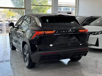 2023 Jetour Dasheng 1.5T DCT Starlight PRO, фото 4, лот 10826907