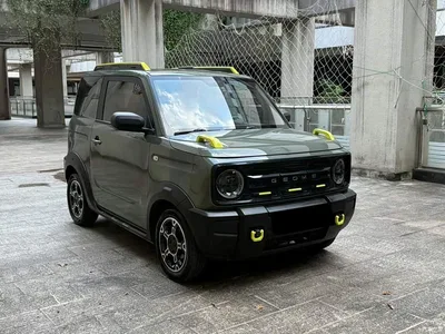 2024 Geely Galaxy Panda 200km Panda Knight, фото 3, лот 10394911