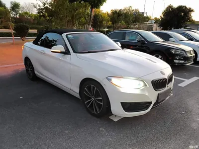 2018 BMW 2 Series (Import) 220i Convertible Coupe Sport Design Package, фото 4, лот 11548598