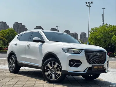 2021 Haval H6 1.5GDIT Automatic Champion Edition, фото 3, лот 10296948
