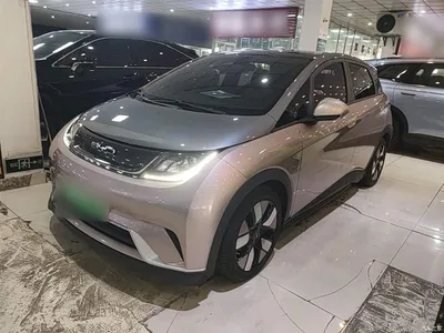 2021 BYD Dolphin 401km Knight Edition, фото 1, лот 10264677