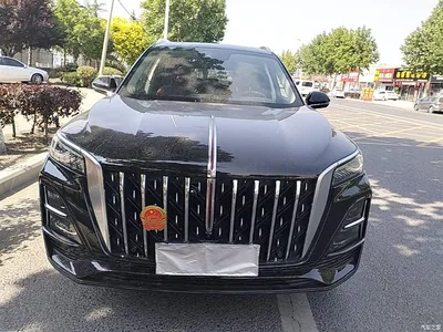 2023 Hongqi HS5 2.0T Flag Enjoy Pro Edition, фото 3, лот 10305229