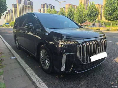 2024 Voyah Auto Voyah Dreamer PHEV Extended Range Premium Edition, фото 2, лот 10358653