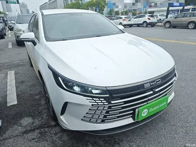 2024 BYD Destroyer 05 Glory Edition DM-i 55KM Luxury, фото 4, лот 11003128