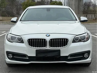 2014 BMW 5 Series (Import) 520i Classic, фото 2, лот 10474105
