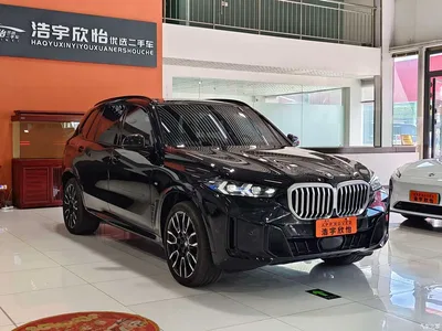 2023 BMW X5 xDrive 40Li M Sport Black Night Package, фото 3, лот 10412412