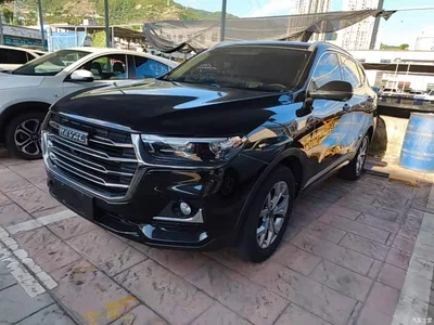 2021 Haval H6 National Trend Edition 1.5GDIT Automatic Champion Edition, фото 2, лот 10285288