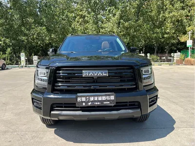 2025 Haval H5 2.0T Auto 4WD Navigation Edition (Diesel), фото 2, лот 10393393