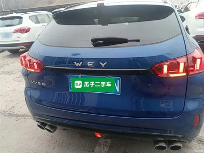 2017 WEY VV5 2.0T Super Luxury Model, фото 4, лот 10452334