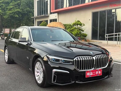 2009 BMW 7 Series 730Li Leading, фото 3, лот 11584362