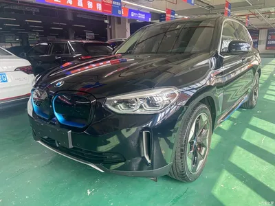 2021 BMW iX3 Pioneer, фото 1, лот 11003379