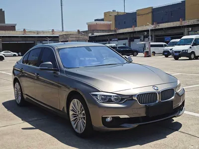 2018 BMW 3 Series 320Li Fashion Style, фото 3, лот 11188414