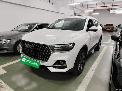 2023 Haval H6 National Trend Edition 1.5T Automatic Champion, фото 1, лот 11549973